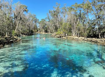 florida/crystal-river/landmark/three-sisters-springs