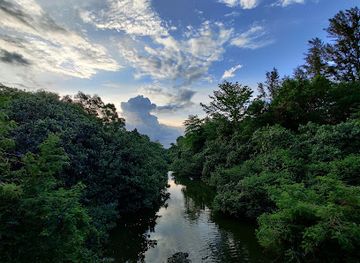 singapore/coney-island/landmark/punggol-rivulet
