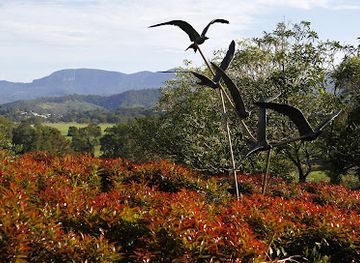 australia/northern-rivers/landmark/regional-development-australia-northern-rivers