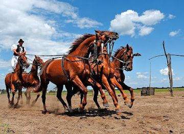 hungary/hortobagy-national-park/landmark/hortobagyi-national-park