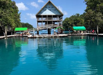 palau/ngaremlengui/landmark/dolphins-pacific
