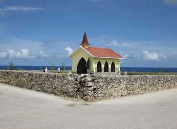 aruba/california-lighthouse/landmark/donkey-sanctuary-aruba