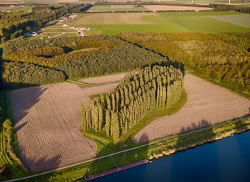 netherlands/ijsselmeer-polders/landmark/kathedralenbos