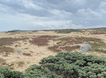 aruba/noord/landmark/sasariwichi-dunes