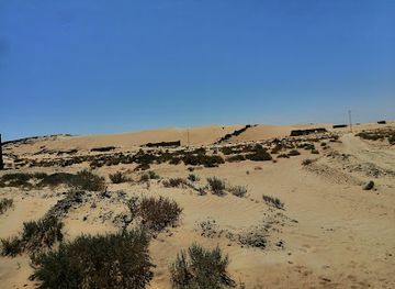 tunisia/central-tunisia/landmark/medina-of-tozeur