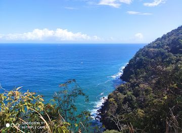 trinidad-and-tobago/mayaro/landmark/bamboo-cathedral