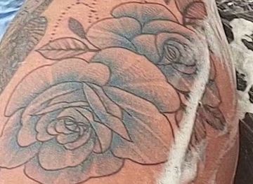 new-zealand/gisborne/landmark/7th-rose-tattoo