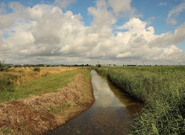 united-kingdom/cambridge-fens/attraction/flag-fen-archaeology-park-2