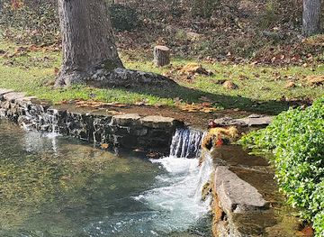 arkansas/ozark-mountains/landmark/withrow-springs-state-park