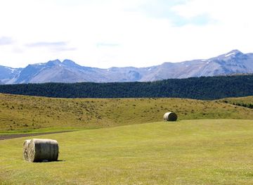 new-zealand/mount-cook-national-park/landmark/nz-alpine-lavender