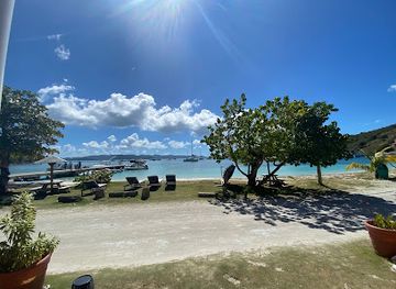 british-virgin-islands/jost-van-dyke/landmark/ali-baba-s