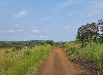 gabon/plateaux-bateke/landmark/parc-de-la-lekedi