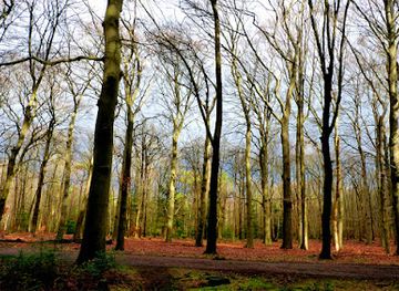 netherlands/gooi/landmark/natuurmonumenten-cronebos