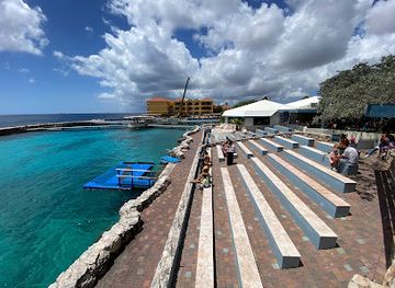 curacao/jan-thiel-beach/landmark/dolphin-academy-curacao