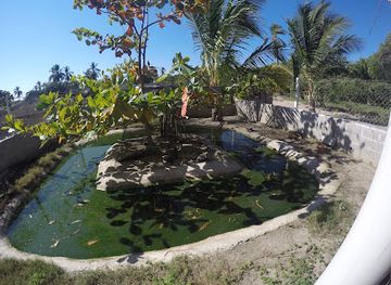 mexico/acapulco/landmark/cocodrilario-acutus