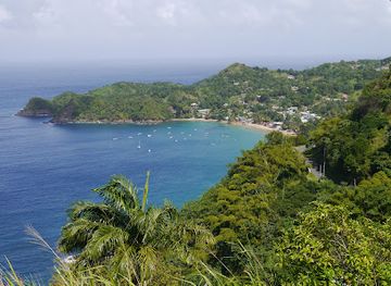 trinidad-and-tobago/tobago/landmark/castara-beach