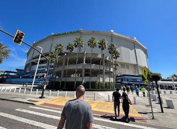 florida/st-petersburg/landmark/tropicana-field
