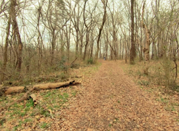 alabama/central-alabama/landmark/tuscumbia-landing