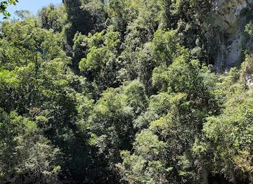 dominican-republic/los-haitises/landmark/punta-arena-beach-los-haitises-national-park