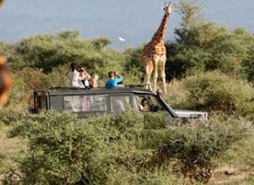 rwanda/akagera-national-park/landmark/1000-hills-safaris-ltd