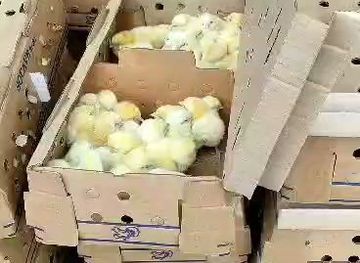 cameroon/mankon-bamenda/landmark/mile-6