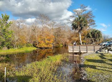 florida/big-bend/landmark/crew-bird-rookery-swamp-trails
