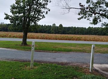 delaware/blackbird-state-forest/landmark/middlepoint-mason-dixon-marker