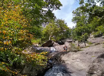 Cunningham Falls State Park - William Houck Area
