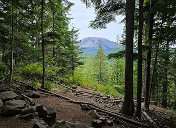 washington/mount-st-helens-area/landmark/mount-st-helens-viewpoint