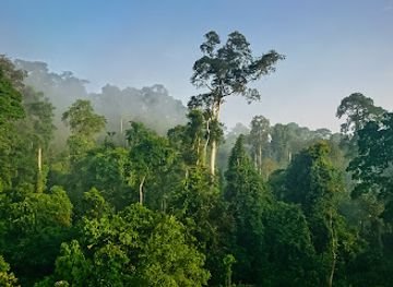 ghana/kwahu/landmark/kakum-national-park