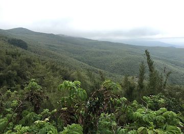 kenya/aberdare-national-park/landmark/aberdare-range