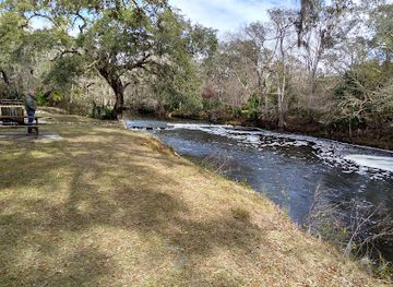 florida/big-bend/landmark/steinhatchee-falls