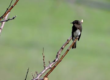 california/silicon-valley/landmark/jose-maria-alviso-adobe