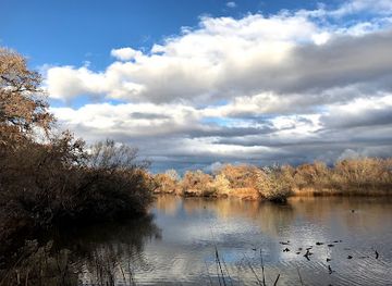 new-mexico/albuquerque/landmark/rio-grande-nature-center-state-park