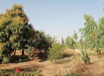 mali/mopti/landmark/mopti-garden
