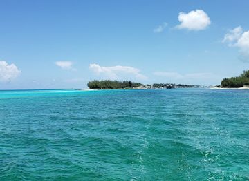 the-bahamas/bimini/landmark/wildquest