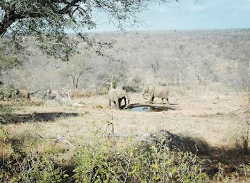 south-africa/kruger-national-park/landmark/grietjie-private-nature-reserve