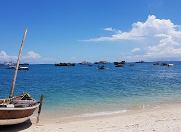 tanzania/zanzibar-archipelago/landmark/tippu-tip-s-house
