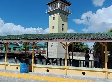 The Letters Of Ponce
