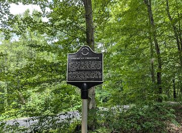 tennessee/northwest-tennessee/landmark/fort-anderson