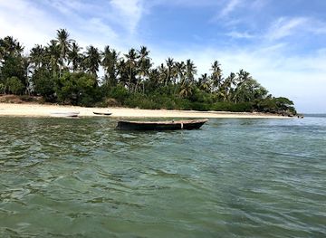 tanzania/zanzibar-archipelago/landmark/tumbatu-island