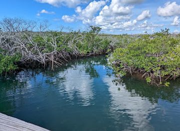 the-bahamas/freeport/landmark/lucayan-national-park