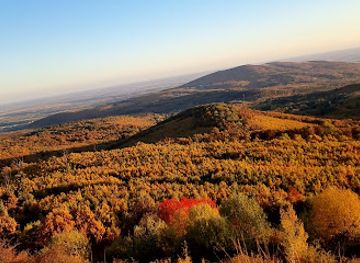 hungary/matra-mountains/landmark/oxygen-adrenalin-park