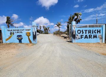 aruba/boca-catalina/landmark/aruba-ostrich-farm