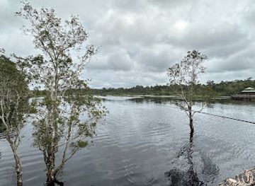 brunei/mukim-batu-apoi/landmark/labi-forest-reserve