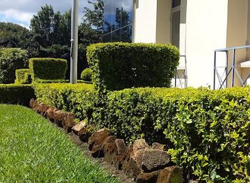 tanzania/mbeya/uyole/landmark/mzumbe-garden