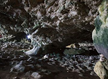 barbados/harrison-s-cave/landmark/animal-flower-cave-restaurant