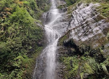 india/shimla/summer-hill/landmark/chadwick-falls