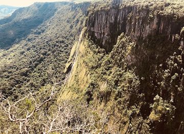 zimbabwe/chimanimani-national-park/landmark/mutarazi-falls-skywalk-and-skyline