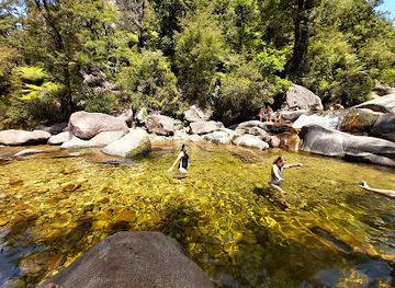 new-zealand/abel-tasman-national-park/landmark/cleopatra-s-pool